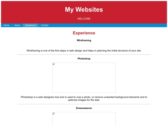 WEB-DESIGN/5-Example Site/experience screenshot