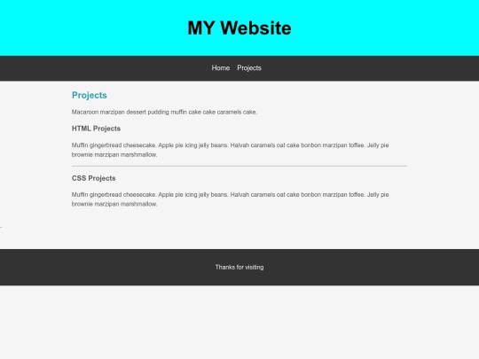 projects screenshot