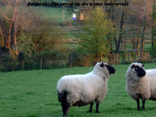404 screenshot