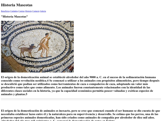 MASCOTAS/historia screenshot