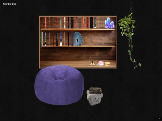 bookshelf screenshot