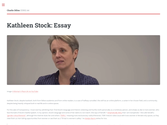 cs3essay screenshot