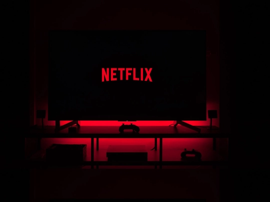 ejercicio10/netflix screenshot