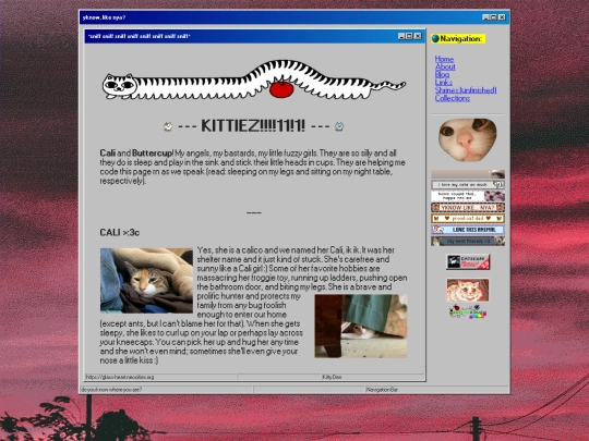 kitties screenshot