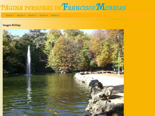 pagina_personal screenshot