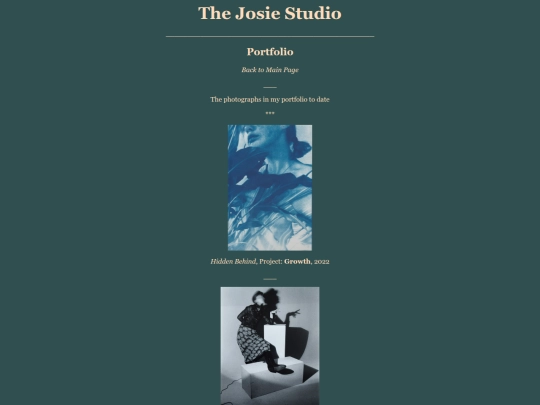 Side Pages/Portfolio screenshot
