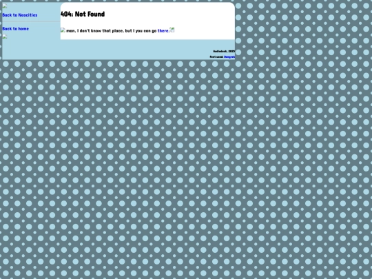 old/diary screenshot