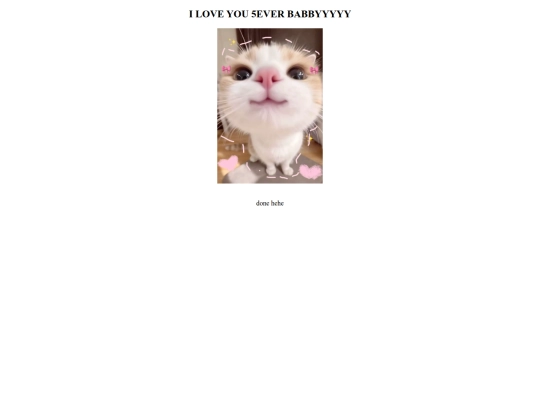 html/page5 screenshot