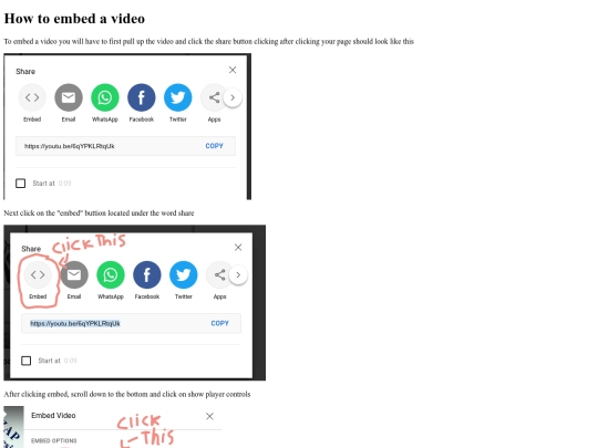 video screenshot