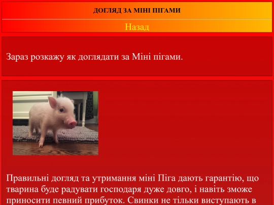 Міні піг/Doglad screenshot