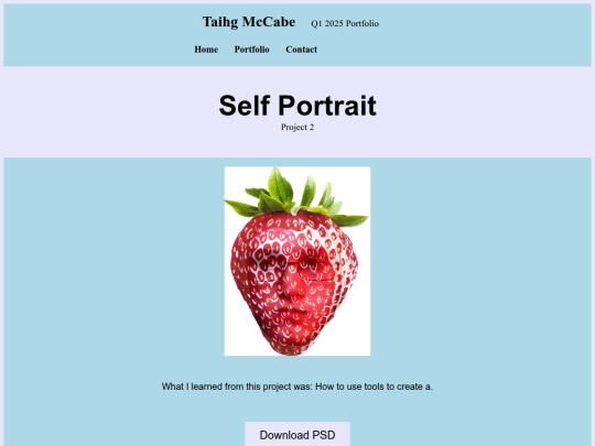 selfportrait screenshot