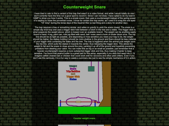 blog/bp0009 screenshot