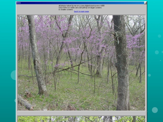 photography screenshot