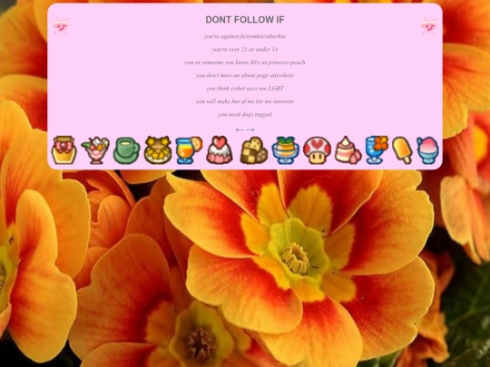 dfi screenshot