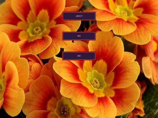 working screenshot