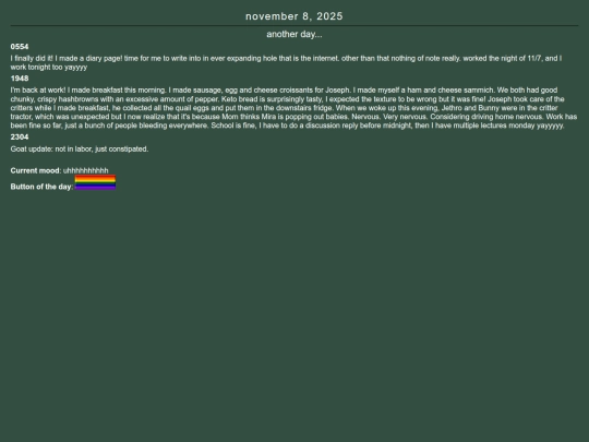 diary/11-8-25 screenshot