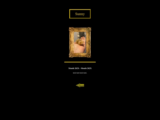sunny screenshot