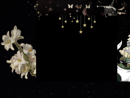 library screenshot