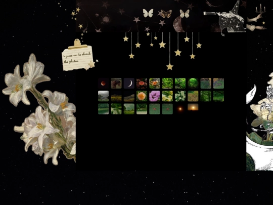 photography screenshot