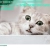
    Emily's Website
 avatar