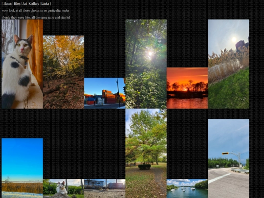 gallery screenshot