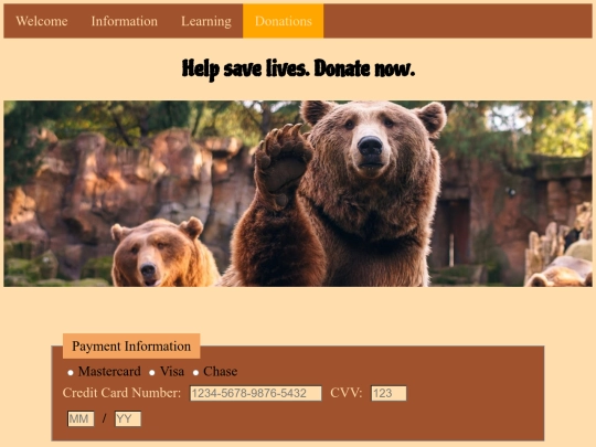 final_donations screenshot