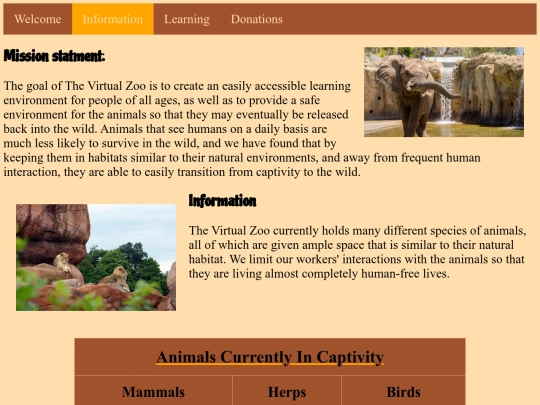final_information screenshot
