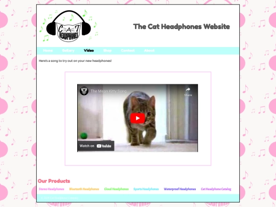 video screenshot