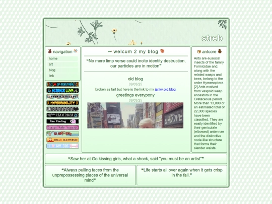 blog screenshot
