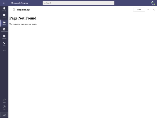 ZIP File viewer _ Microsoft Teams screenshot