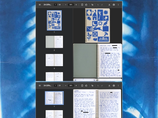 journals/journal24-25 screenshot