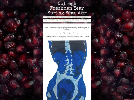 portfolio/SpringSemester-College-Freshman screenshot