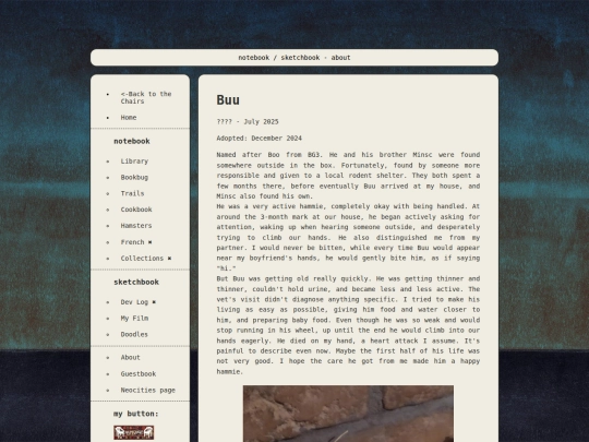 MiscNotebook/Buu screenshot