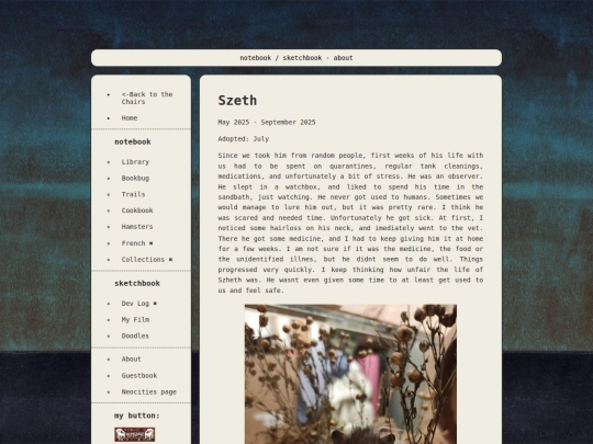 MiscNotebook/Szeth screenshot