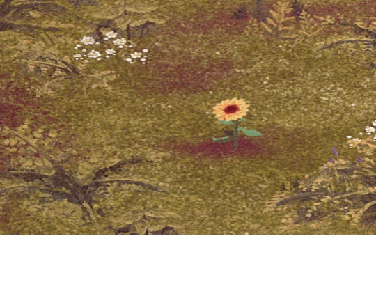 lady screenshot