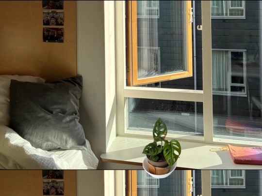 myroom screenshot