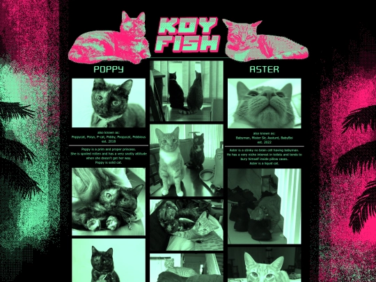 kitties screenshot