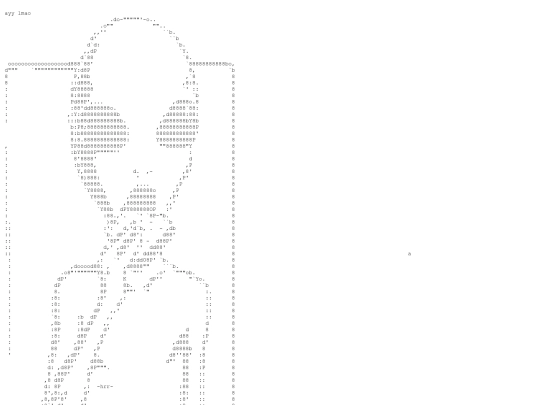 ascii screenshot