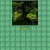 ~The Hidden Glade~ avatar