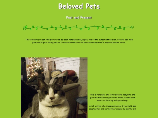 kittyrepository screenshot