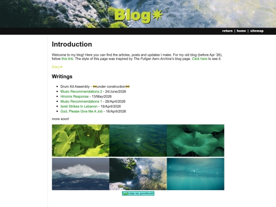 blog screenshot