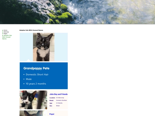 pages/catnames screenshot