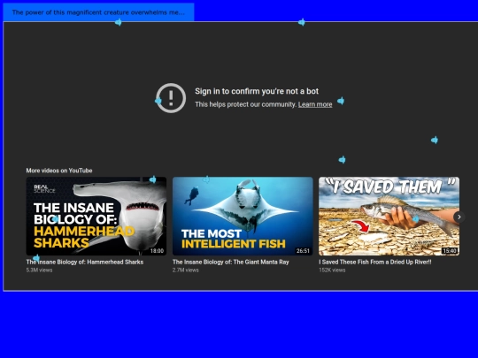 interests/sunfish screenshot