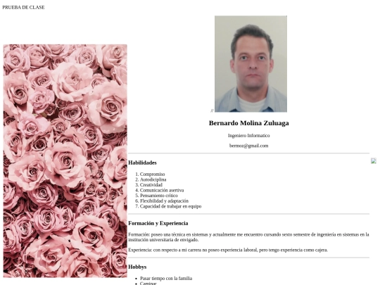 hojavida screenshot