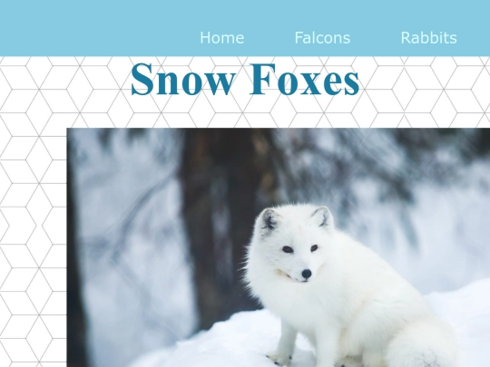 SnowFoxes screenshot