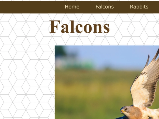 pages/Falcons screenshot