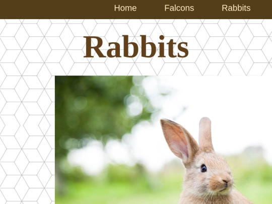 pages/Rabbits screenshot