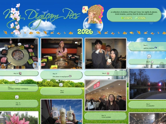 pages/gallery/digicam screenshot