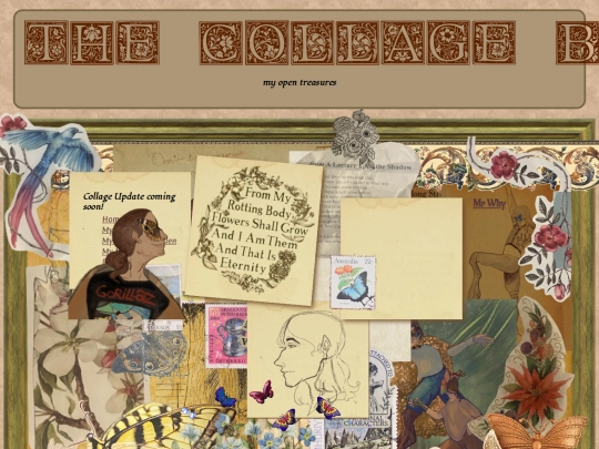 thecollageboard screenshot