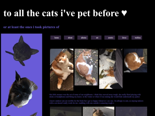 cats screenshot